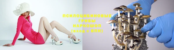 спайс Алзамай