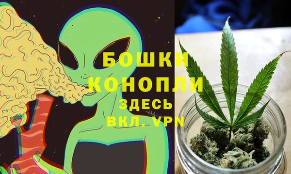соль ск Алексеевка